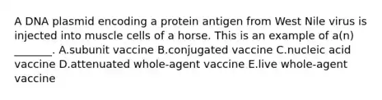 A DNA plasmid encoding a protein antigen from West Nile virus is injected into muscle cells of a horse. This is an example of a(n) _______. A.subunit vaccine B.conjugated vaccine C.nucleic acid vaccine D.attenuated whole-agent vaccine E.live whole-agent vaccine