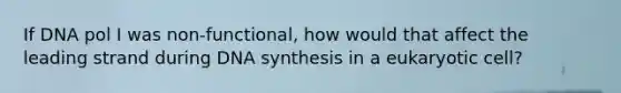 If DNA pol I was non-functional, how would that affect the leading strand during DNA synthesis in a eukaryotic cell?