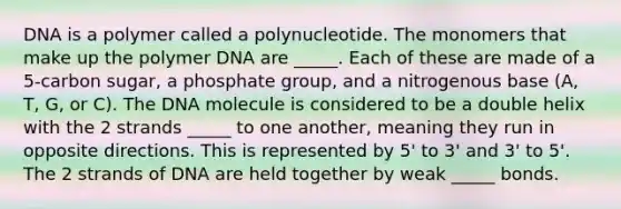 DNA is a polymer called a polynucleotide. The monomers that make up the polymer DNA are _____. Each of these are made of a 5-carbon sugar, a phosphate group, and a nitrogenous base (A, T, G, or C). The DNA molecule is considered to be a double helix with the 2 strands _____ to one another, meaning they run in opposite directions. This is represented by 5' to 3' and 3' to 5'. The 2 strands of DNA are held together by weak _____ bonds.