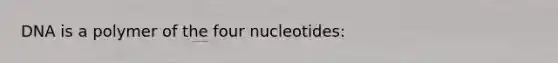 DNA is a polymer of the four nucleotides: