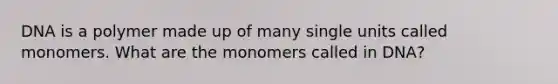 DNA is a polymer made up of many single units called monomers. What are the monomers called in DNA?