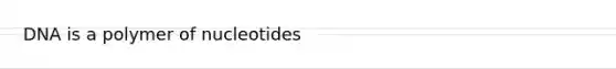 DNA is a polymer of nucleotides
