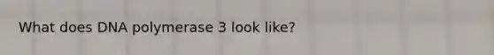 What does DNA polymerase 3 look like?