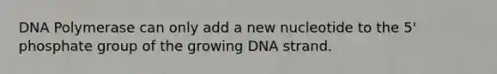 DNA Polymerase can only add a new nucleotide to the 5' phosphate group of the growing DNA strand.