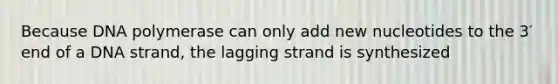 Because DNA polymerase can only add new nucleotides to the 3′ end of a DNA strand, the lagging strand is synthesized