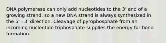 DNA polymerase can only add nucleotides to the 3' end of a growing strand, so a new DNA strand is always synthesized in the 5' - 3' direction. Cleavage of pyrophosphate from an incoming nucleotide triphosphate supplies the energy for bond formation.