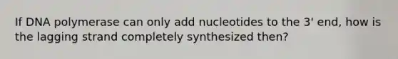 If DNA polymerase can only add nucleotides to the 3' end, how is the lagging strand completely synthesized then?