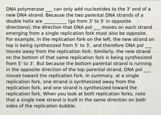 DNA polymerase ___ can only add nucleotides to the 3' end of a new DNA strand. Because the two parental DNA strands of a double helix are __________ (go from 3' to 5' in opposite directions), the direction that DNA pol ___ moves on each strand emerging from a single replication fork must also be opposite. For example, in the replication fork on the left, the new strand on top is being synthesized from 5' to 3', and therefore DNA pol ___ moves away from the replication fork. Similarly, the new strand on the bottom of that same replication fork is being synthesized from 5' to 3'. But because the bottom parental strand is running in the opposite direction of the top parental strand, DNA pol ___ moves toward the replication fork. In summary, at a single replication fork, one strand is synthesized away from the replication fork, and one strand is synthesized toward the replication fork. When you look at both replication forks, note that a single new strand is built in the same direction on both sides of the replication bubble.