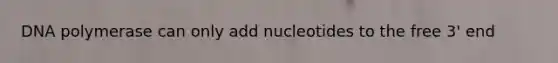 DNA polymerase can only add nucleotides to the free 3' end