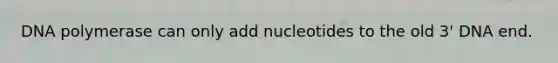 DNA polymerase can only add nucleotides to the old 3' DNA end.