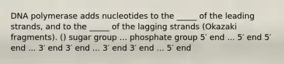 DNA polymerase adds nucleotides to the _____ of the leading strands, and to the _____ of the lagging strands (Okazaki fragments). () sugar group ... phosphate group 5′ end ... 5′ end 5′ end ... 3′ end 3′ end ... 3′ end 3′ end ... 5′ end