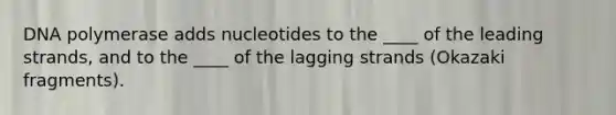 DNA polymerase adds nucleotides to the ____ of the leading strands, and to the ____ of the lagging strands (Okazaki fragments).