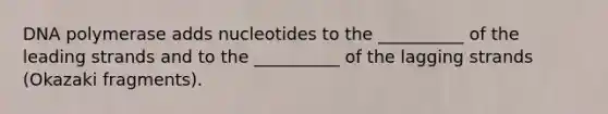 DNA polymerase adds nucleotides to the __________ of the leading strands and to the __________ of the lagging strands (Okazaki fragments).