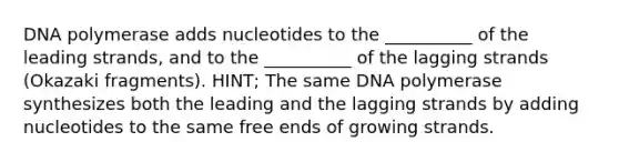 DNA polymerase adds nucleotides to the __________ of the leading strands, and to the __________ of the lagging strands (Okazaki fragments). HINT; The same DNA polymerase synthesizes both the leading and the lagging strands by adding nucleotides to the same free ends of growing strands.