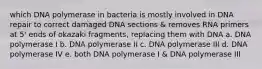 which DNA polymerase in bacteria is mostly involved in DNA repair to correct damaged DNA sections & removes RNA primers at 5' ends of okazaki fragments, replacing them with DNA a. DNA polymerase I b. DNA polymerase II c. DNA polymerase III d. DNA polymerase IV e. both DNA polymerase I & DNA polymerase III