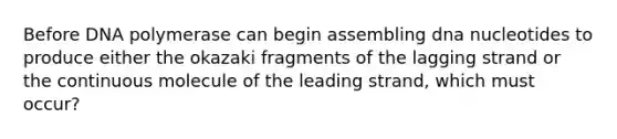 Before DNA polymerase can begin assembling dna nucleotides to produce either the okazaki fragments of the lagging strand or the continuous molecule of the leading strand, which must occur?