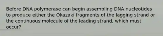 Before DNA polymerase can begin assembling DNA nucleotides to produce either the Okazaki fragments of the lagging strand or the continuous molecule of the leading strand, which must occur?