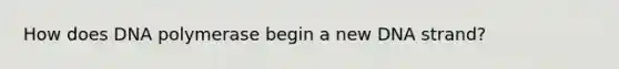 How does DNA polymerase begin a new DNA strand?