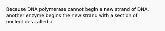 Because DNA polymerase cannot begin a new strand of DNA, another enzyme begins the new strand with a section of nucleotides called a