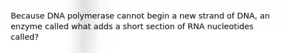 Because DNA polymerase cannot begin a new strand of DNA, an enzyme called what adds a short section of RNA nucleotides called?