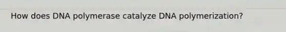 How does DNA polymerase catalyze DNA polymerization?