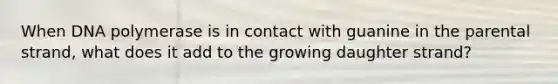 When DNA polymerase is in contact with guanine in the parental strand, what does it add to the growing daughter strand?
