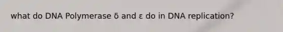 what do DNA Polymerase δ and ε do in DNA replication?
