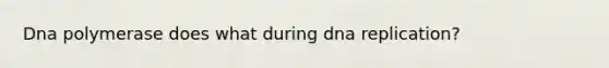 Dna polymerase does what during dna replication?