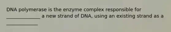 DNA polymerase is the enzyme complex responsible for ______________ a new strand of DNA, using an existing strand as a _____________