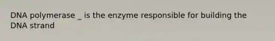 DNA polymerase _ is the enzyme responsible for building the DNA strand