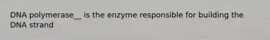 DNA polymerase__ is the enzyme responsible for building the DNA strand