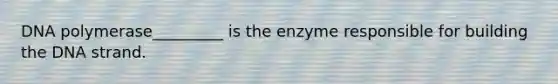 DNA polymerase_________ is the enzyme responsible for building the DNA strand.