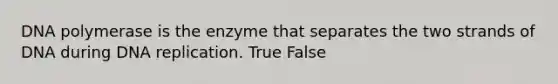 DNA polymerase is the enzyme that separates the two strands of DNA during DNA replication. True False