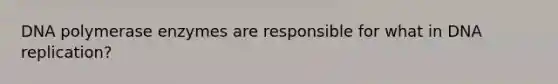 DNA polymerase enzymes are responsible for what in DNA replication?