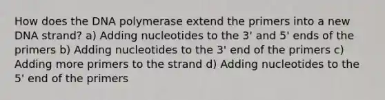 How does the DNA polymerase extend the primers into a new DNA strand? a) Adding nucleotides to the 3' and 5' ends of the primers b) Adding nucleotides to the 3' end of the primers c) Adding more primers to the strand d) Adding nucleotides to the 5' end of the primers