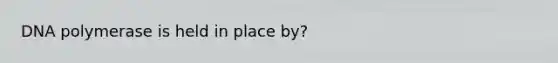 DNA polymerase is held in place by?