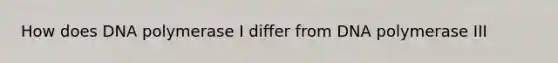 How does DNA polymerase I differ from DNA polymerase III