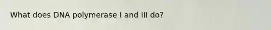 What does DNA polymerase I and III do?