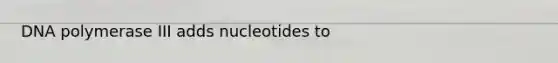 DNA polymerase III adds nucleotides to