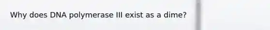 Why does DNA polymerase III exist as a dime?