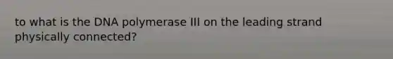 to what is the DNA polymerase III on the leading strand physically connected?