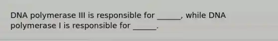 DNA polymerase III is responsible for ______, while DNA polymerase I is responsible for ______.