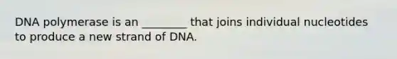 DNA polymerase is an ________ that joins individual nucleotides to produce a new strand of DNA.