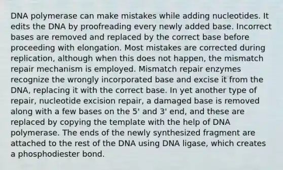 DNA polymerase can make mistakes while adding nucleotides. It edits the DNA by proofreading every newly added base. Incorrect bases are removed and replaced by the correct base before proceeding with elongation. Most mistakes are corrected during replication, although when this does not happen, the mismatch repair mechanism is employed. Mismatch repair enzymes recognize the wrongly incorporated base and excise it from the DNA, replacing it with the correct base. In yet another type of repair, nucleotide excision repair, a damaged base is removed along with a few bases on the 5' and 3' end, and these are replaced by copying the template with the help of DNA polymerase. The ends of the newly synthesized fragment are attached to the rest of the DNA using DNA ligase, which creates a phosphodiester bond.