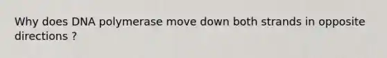 Why does DNA polymerase move down both strands in opposite directions ?