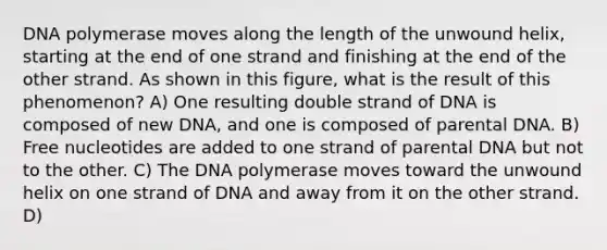 DNA polymerase moves along the length of the unwound helix, starting at the end of one strand and finishing at the end of the other strand. As shown in this figure, what is the result of this phenomenon? A) One resulting double strand of DNA is composed of new DNA, and one is composed of parental DNA. B) Free nucleotides are added to one strand of parental DNA but not to the other. C) The DNA polymerase moves toward the unwound helix on one strand of DNA and away from it on the other strand. D)