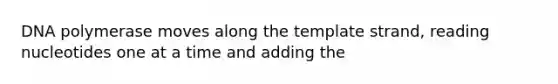 DNA polymerase moves along the template strand, reading nucleotides one at a time and adding the