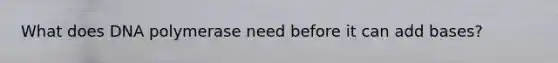 What does DNA polymerase need before it can add bases?