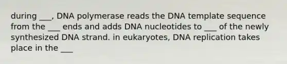 during ___, DNA polymerase reads the DNA template sequence from the ___ ends and adds DNA nucleotides to ___ of the newly synthesized DNA strand. in eukaryotes, DNA replication takes place in the ___