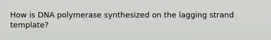 How is DNA polymerase synthesized on the lagging strand template?